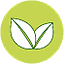 Demo Logo