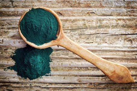 Spiruline en poudre