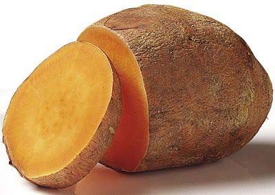 plante Yam